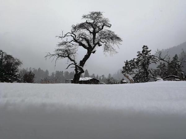 各类招聘活动3000多场,提供就业岗位超过97万个,湖北启动2024年“春风行动”